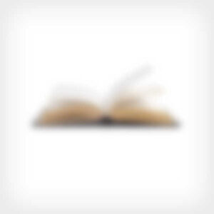 The Economic Structure of Corporate Law